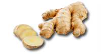 Джинджифил с кора