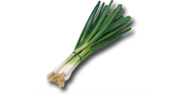 Зелен лук