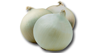 Лук бял