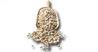 Боб бял